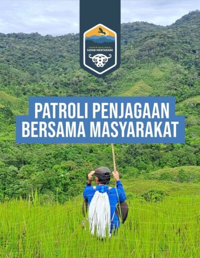 Balai Taman Nasional Kayan Mentarang - Seksi Pengelolaan Taman Nasional Wilayah II Long Alango melakukan Patroli Penjagaan Bersama Masyarakat di Resort Sungai Bahau Wilayah Long Tua. Patroli penjagaan ini merupakan patroli berbasis SMART RBM yang dilaksanakan secara partisipatif bersama masyarakat disekitar Kawasan hutan Taman Nasional Kayan Mentarang. Selama patroli, ditemukan beberapa tanda satwa berupa Jejak Banteng Kalimantan (Bos javanicus lowii), bekas cakaran Beruang Madu (Helarctos malayanus), Suara Owa Kelawat (Hylobates muelleri). Tim patrol juga berjumpa langsung dengan Kijang muncak (Muntiacus muntjac), Rusa sambar (Rusa unicolor) dan Lutung Banggat (Presbytis hosei). Ada temuan lain juga nih Sobat Tanakame! Tim patrol menemukan fitur alami dan objek budaya berupa bongkahan batu besar yang membentuk goa kecil dan sebuah kuburan batu dan genangan air yang cukup besar.